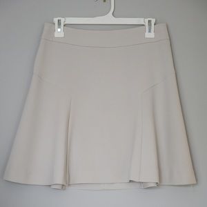 Express Skirt